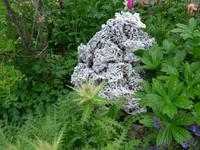 Island, Pe &ndash; &copy; Ria Heilmann (Eberhardt TRAVEL)