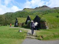 Island, Skogar &ndash; &copy; Ria Heilmann (Eberhardt TRAVEL)
