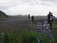996 Island - Fahrt entlang der Südküste &ndash; &copy; Annette Weise (Eberhardt TRAVEL)