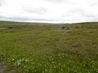 Gullfoss &ndash; &copy; Rebekka Böhme (Eberhardt TRAVEL)
