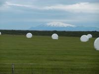 Snaefellsnes &ndash; &copy; Rebekka Böhme (Eberhardt TRAVEL)