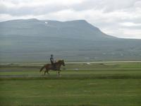 Flugumyri &ndash; &copy; Rebekka Böhme (Eberhardt TRAVEL)