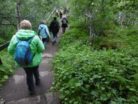 Asbyrgi &ndash; &copy; Rebekka Böhme (Eberhardt TRAVEL)