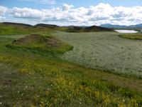 Myvatn &ndash; &copy; Rebekka Böhme (Eberhardt TRAVEL)