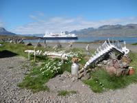 Djupivogur &ndash; &copy; Rebekka Böhme (Eberhardt TRAVEL)