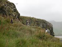 Dyrholaey &ndash; &copy; Rebekka Böhme (Eberhardt TRAVEL)