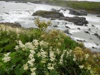 Seljalandsfoss &ndash; &copy; Rebekka Böhme (Eberhardt TRAVEL)