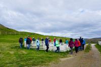 Snaefellsnes &ndash; &copy; Rebekka Böhme (Eberhardt TRAVEL)