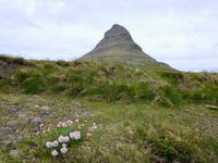Kirkjufelssfoss &ndash; &copy; Ngoc Anh Nguyen (Eberhardt TRAVEL)