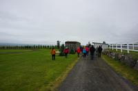103 Pferdehof Flugumyri &ndash; &copy; Stefanie Schneider (Eberhardt TRAVEL)