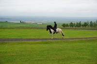 106 Pferdehof Flugumyri &ndash; &copy; Stefanie Schneider (Eberhardt TRAVEL)