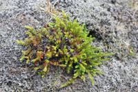 Vegetation &ndash; &copy; Romy Ginzel (Eberhardt TRAVEL)