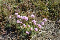 Vegetation &ndash; &copy; Romy Ginzel (Eberhardt TRAVEL)