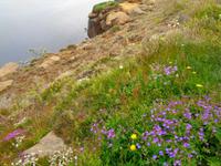 Island - Nordküste  &ndash; &copy; Martina Häselbarth (Eberhardt TRAVEL)