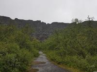 Felsenschlucht Asbyrgi