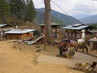 Farmhäuser bei Paro &ndash; &copy; Jürgen Schmeißer (Eberhardt TRAVEL)