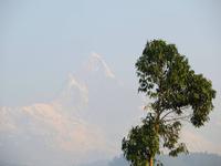 Fishtail  &ndash; &copy; Jürgen Schmeißer (Eberhardt TRAVEL)