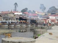 Pashupatinath &ndash; &copy; Jürgen Schmeißer (Eberhardt TRAVEL)