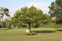 Lumbini &ndash; &copy; Vicky Kern (Eberhardt TRAVEL)