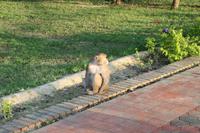 Lumbini &ndash; &copy; Vicky Kern (Eberhardt TRAVEL)