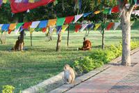Lumbini &ndash; &copy; Vicky Kern (Eberhardt TRAVEL)