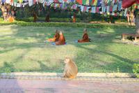 Lumbini &ndash; &copy; Vicky Kern (Eberhardt TRAVEL)