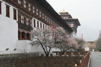 Thimphu Dzong &ndash; &copy; Vicky Kern (Eberhardt TRAVEL)