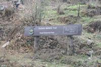 Wanderung auf dem Dochula Nature Trail &ndash; &copy; Vicky Kern (Eberhardt TRAVEL)