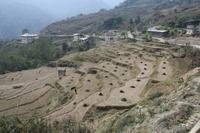 Terrassenfelder &ndash; &copy; Vicky Kern (Eberhardt TRAVEL)