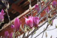 Kloster Kyichu Lhakhang &ndash; &copy; Vicky Kern (Eberhardt TRAVEL)