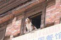 Bhaktapur &ndash; &copy; Vicky Kern (Eberhardt TRAVEL)