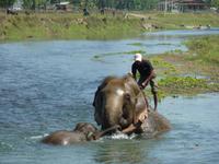 Elefantenbad &ndash; &copy; Cornelia Ritter (Eberhardt TRAVEL)