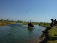 Elefantenbad &ndash; &copy; Cornelia Ritter (Eberhardt TRAVEL)
