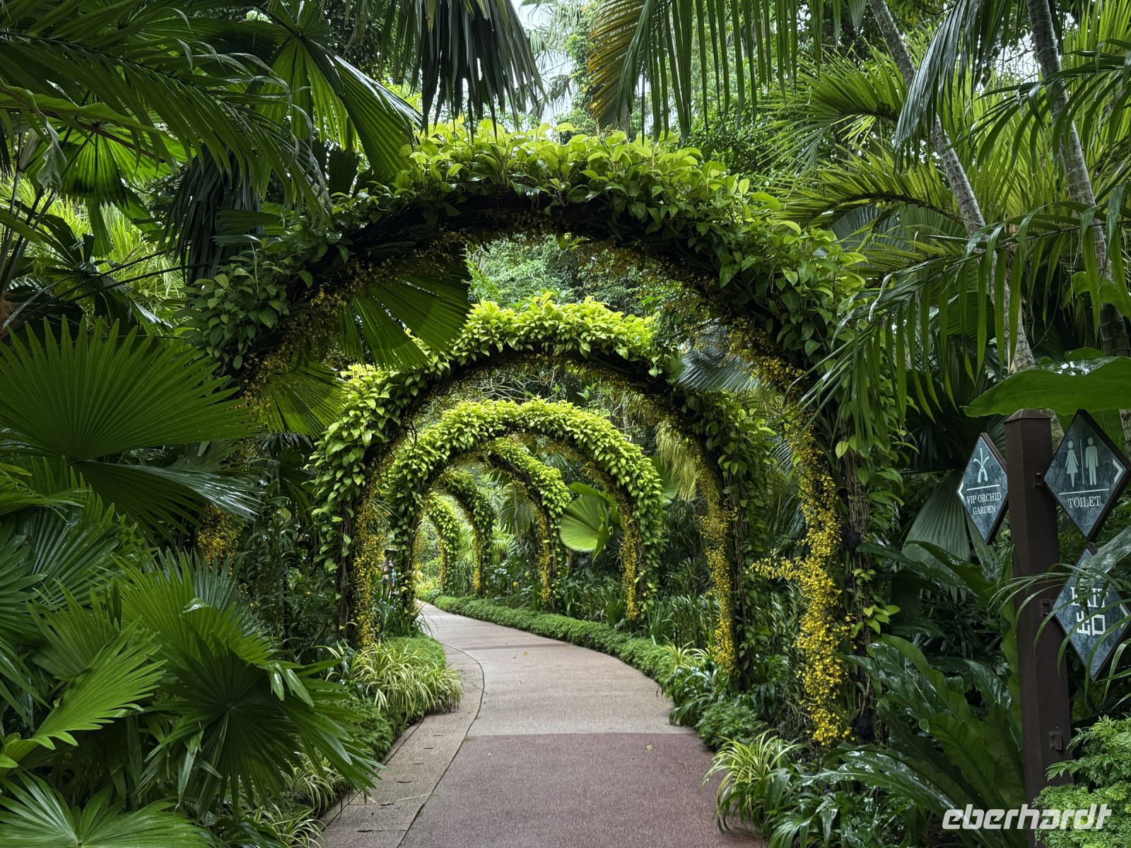 Orchideengarten Singapur &ndash; &copy; Leon Prinz (Eberhardt TRAVEL)