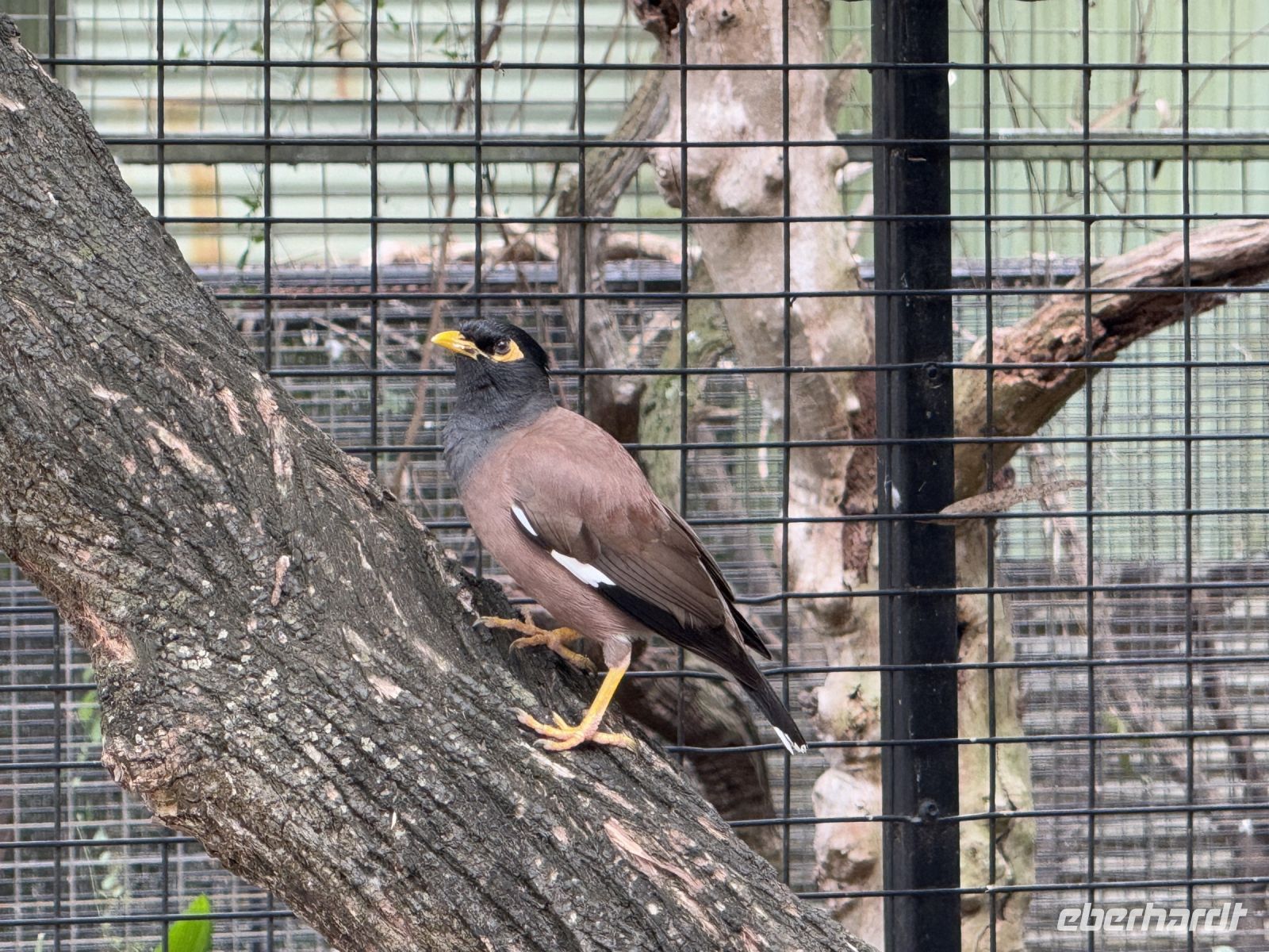 Featherdale Wildlife Park &ndash; &copy; Leon Prinz (Eberhardt TRAVEL)
