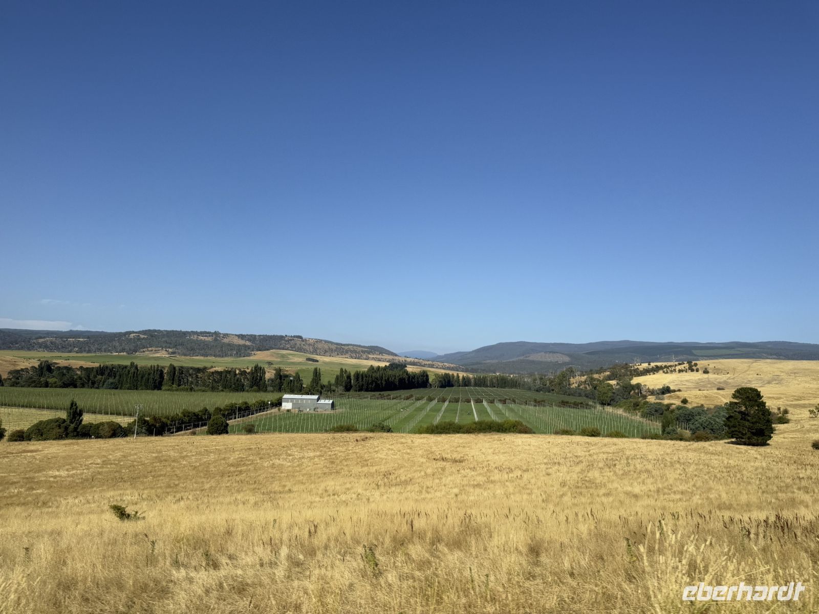 Tasmanien &ndash; &copy; Leon Prinz (Eberhardt TRAVEL)