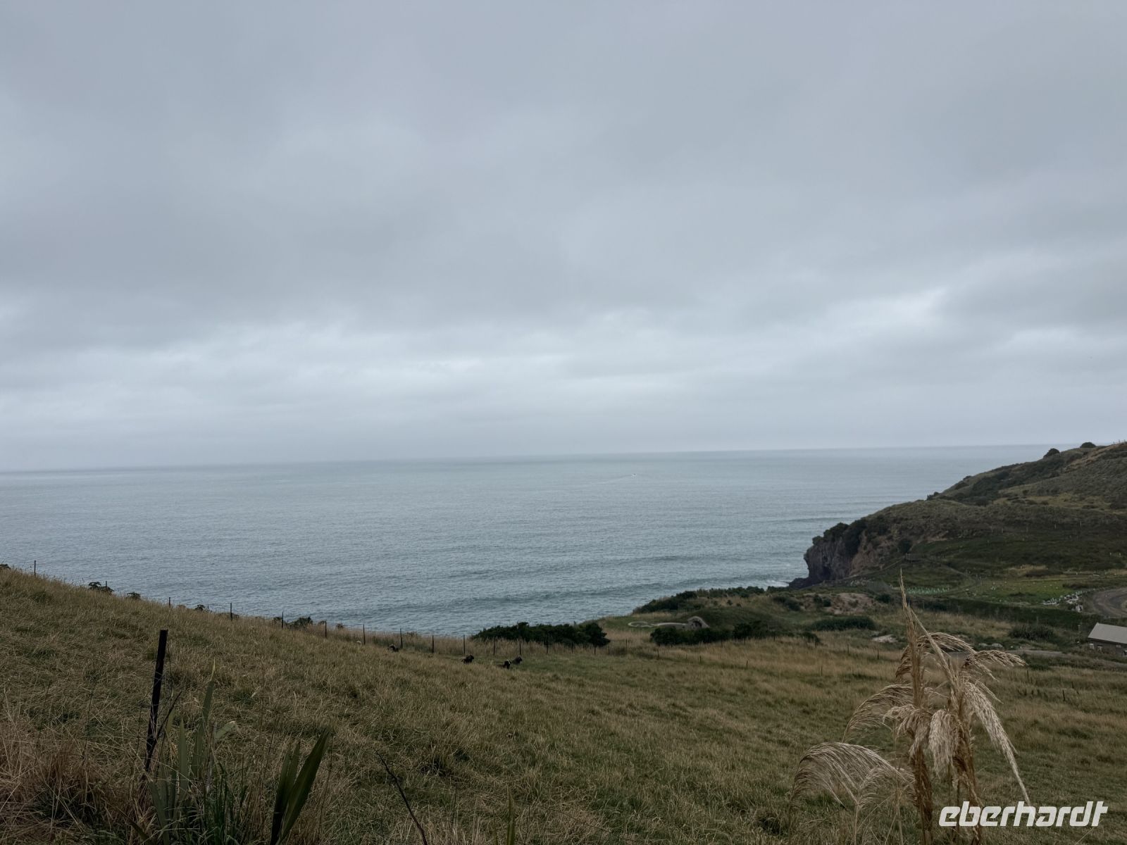 Otago Halbinsel, Dunedin, Neuseeland &ndash; &copy; Leon Prinz (Eberhardt TRAVEL)