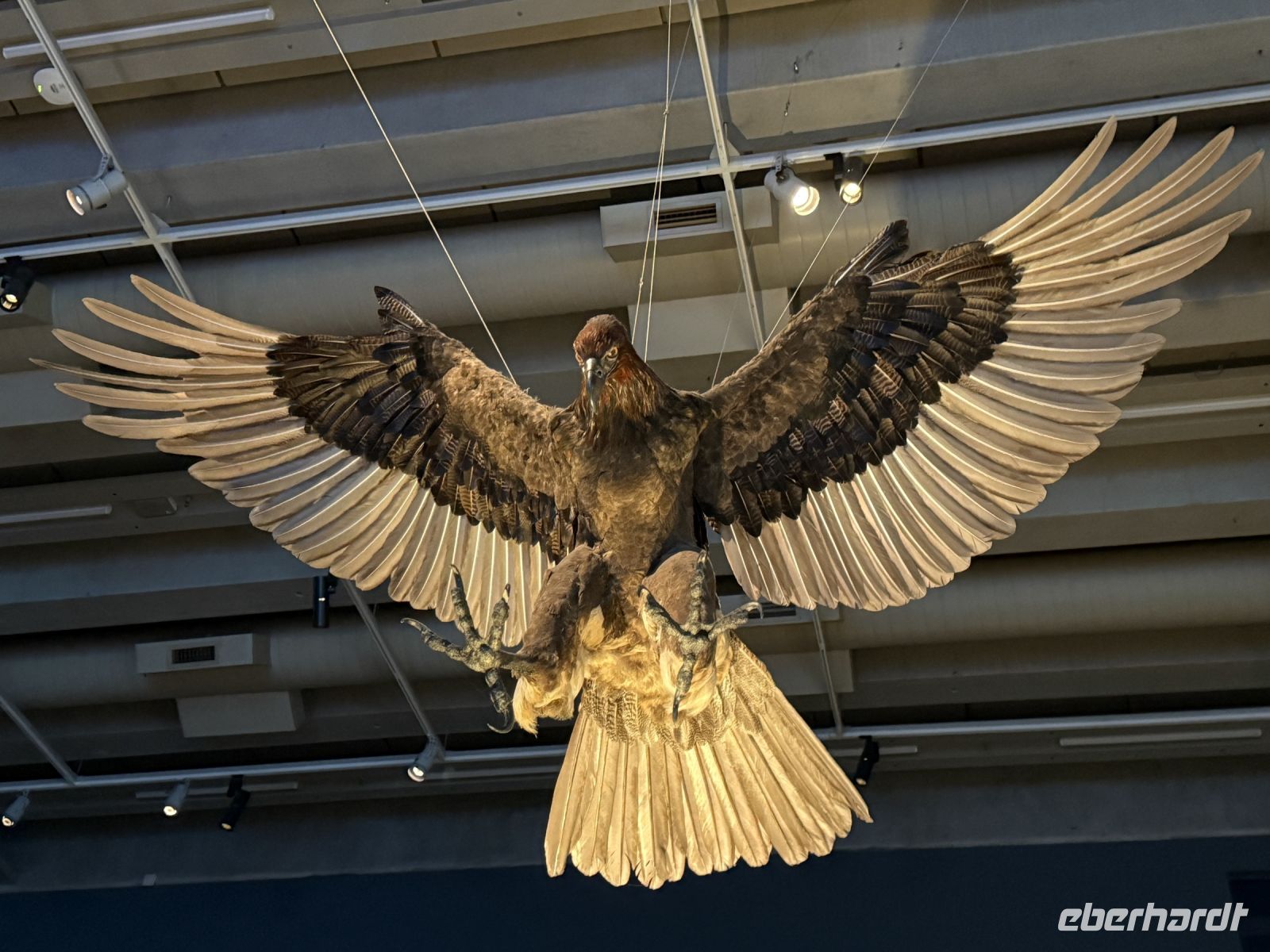 Te Papa Tongarewa Museum Wellington, Neuseeland &ndash; &copy; Leon Prinz (Eberhardt TRAVEL)