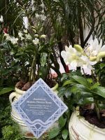 Orchideengarten Singapur &ndash; &copy; Leon Prinz (Eberhardt TRAVEL)