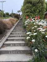 Baldwin Street - steilste Straße der Welt, Dunedin, Neuseeland &ndash; &copy; Leon Prinz (Eberhardt TRAVEL)