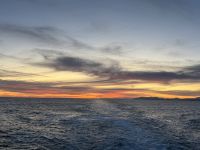 Wellington, Neuseeland &ndash; &copy; Leon Prinz (Eberhardt TRAVEL)