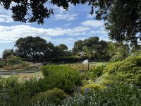 Napier, Neuseeland &ndash; &copy; Leon Prinz (Eberhardt TRAVEL)