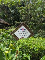 21. Orchideengarten Singapur