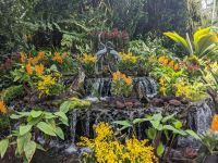 22. Orchideengarten Singapur &ndash; &copy; Teresa Rumpel (Eberhardt TRAVEL)
