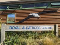 325. Albatross-Kolonie, Otega Halbinsel, Dunedin, Neuseeland &ndash; &copy; Teresa Rumpel (Eberhardt TRAVEL)
