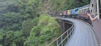 Kuranda und Rainforest (12)