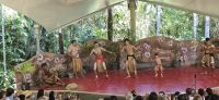 Kuranda und Rainforest (17) &ndash; &copy; Marcus Hasselhorst (Eberhardt TRAVEL)