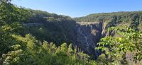 Kuranda und Rainforest (19) &ndash; &copy; Marcus Hasselhorst (Eberhardt TRAVEL)