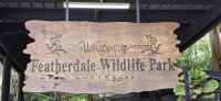Tierwelt Australiens (7) &ndash; &copy; Marcus Hasselhorst (Eberhardt TRAVEL)