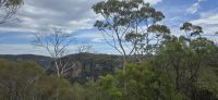 Blue Mountains (12) &ndash; &copy; Marcus Hasselhorst (Eberhardt TRAVEL)